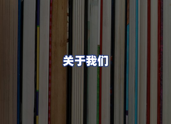 专业团队